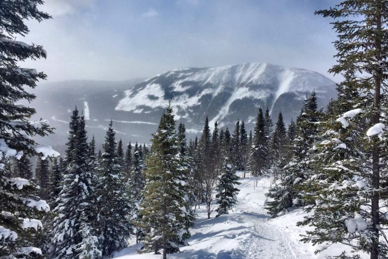 Parc national Gaspésie - Encadrement ski hors piste, secteur Mt Albert Parc national Gaspésie - Encadrement ski hors piste, secteur Mt Albert